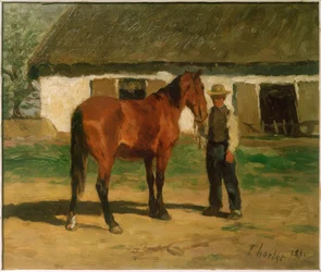 Bruin paard voor wit huis